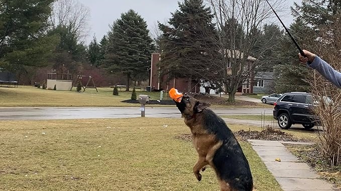 dog toy for chasing